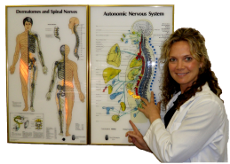 chiropractor